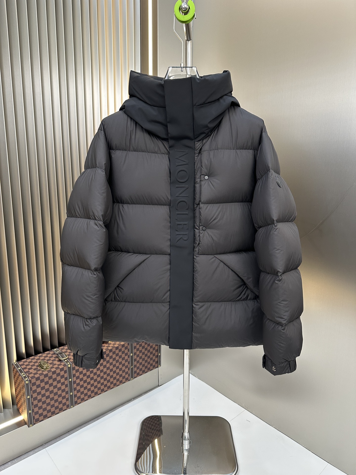 Moncler Down Jackets